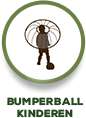 bumperball kinderen